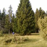 img_20171021_084707