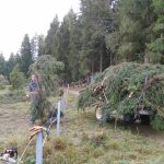 img_20171021_123224_burst002